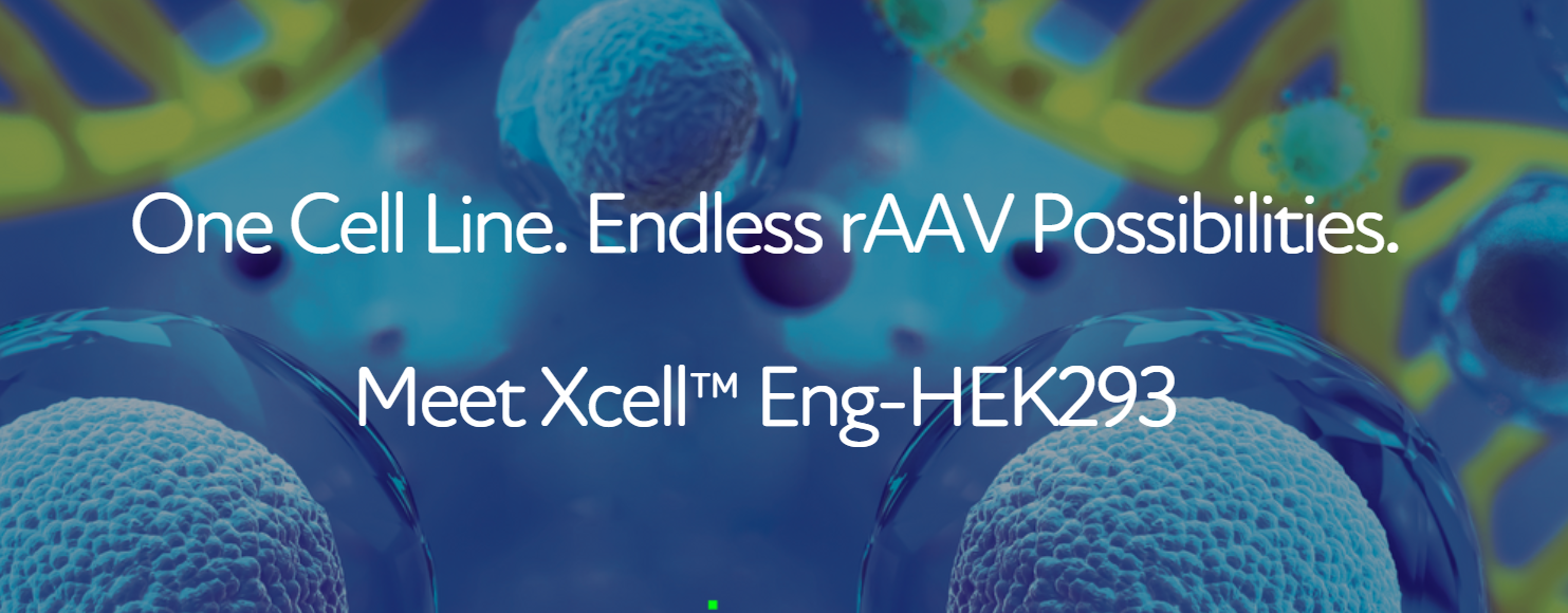 Xcell-Eng-HEK293-screenshot Xcell-Eng-HEK293-screenshot